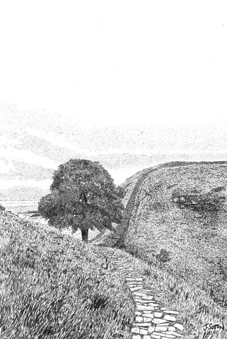 Sycamore Gap